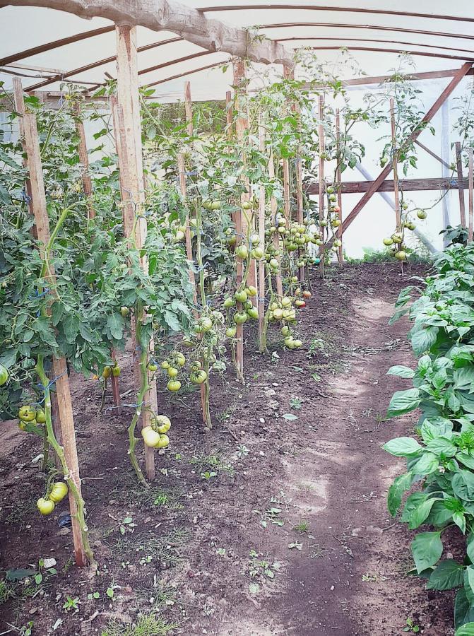 Forma Ferienhaus